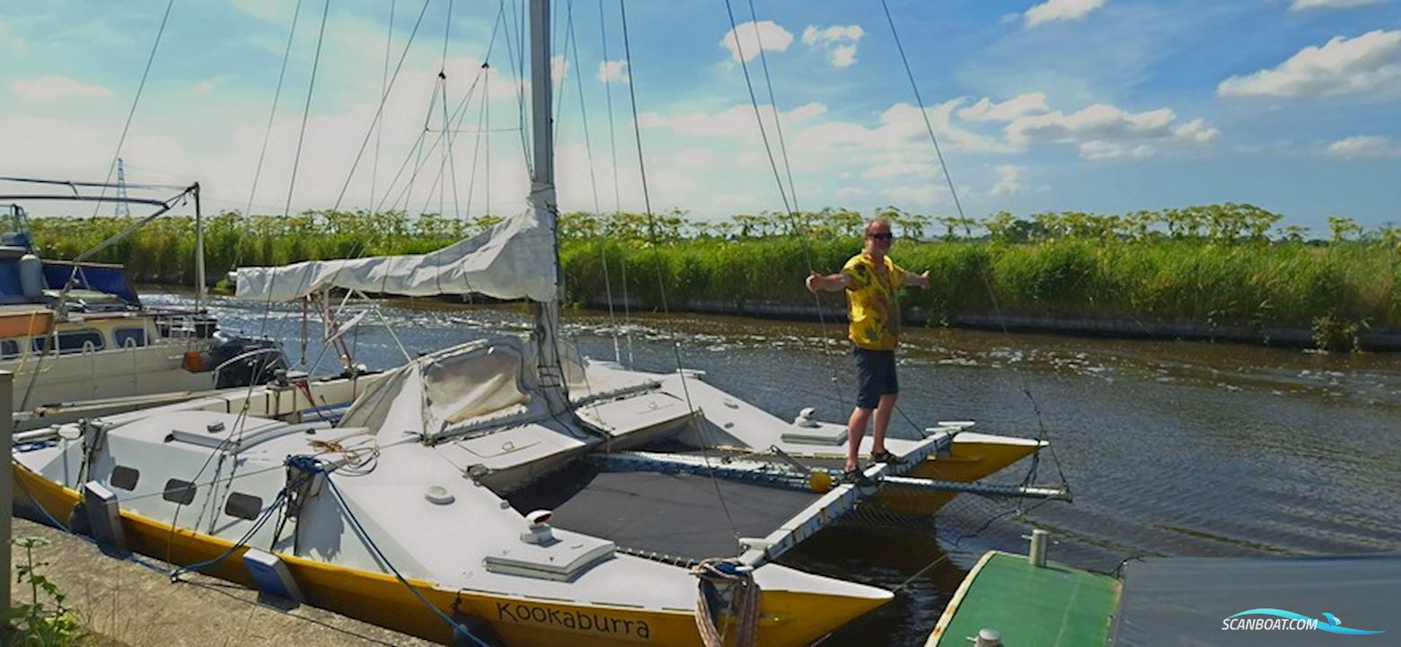 Amateur Wharram Tane Catamaran