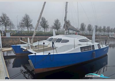 Amateur Woods Sagitta 30 Catamaran Flerskrogsbåd 1998, med Honda BF10 motor, Holland