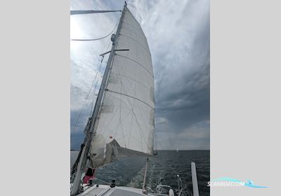 Amateur Woods Sagitta 30 Catamaran Flerskrogsbåd 1998, med Honda BF10 motor, Holland