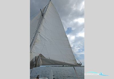 Amateur Woods Sagitta 30 Catamaran Flerskrogsbåd 1998, med Honda BF10 motor, Holland
