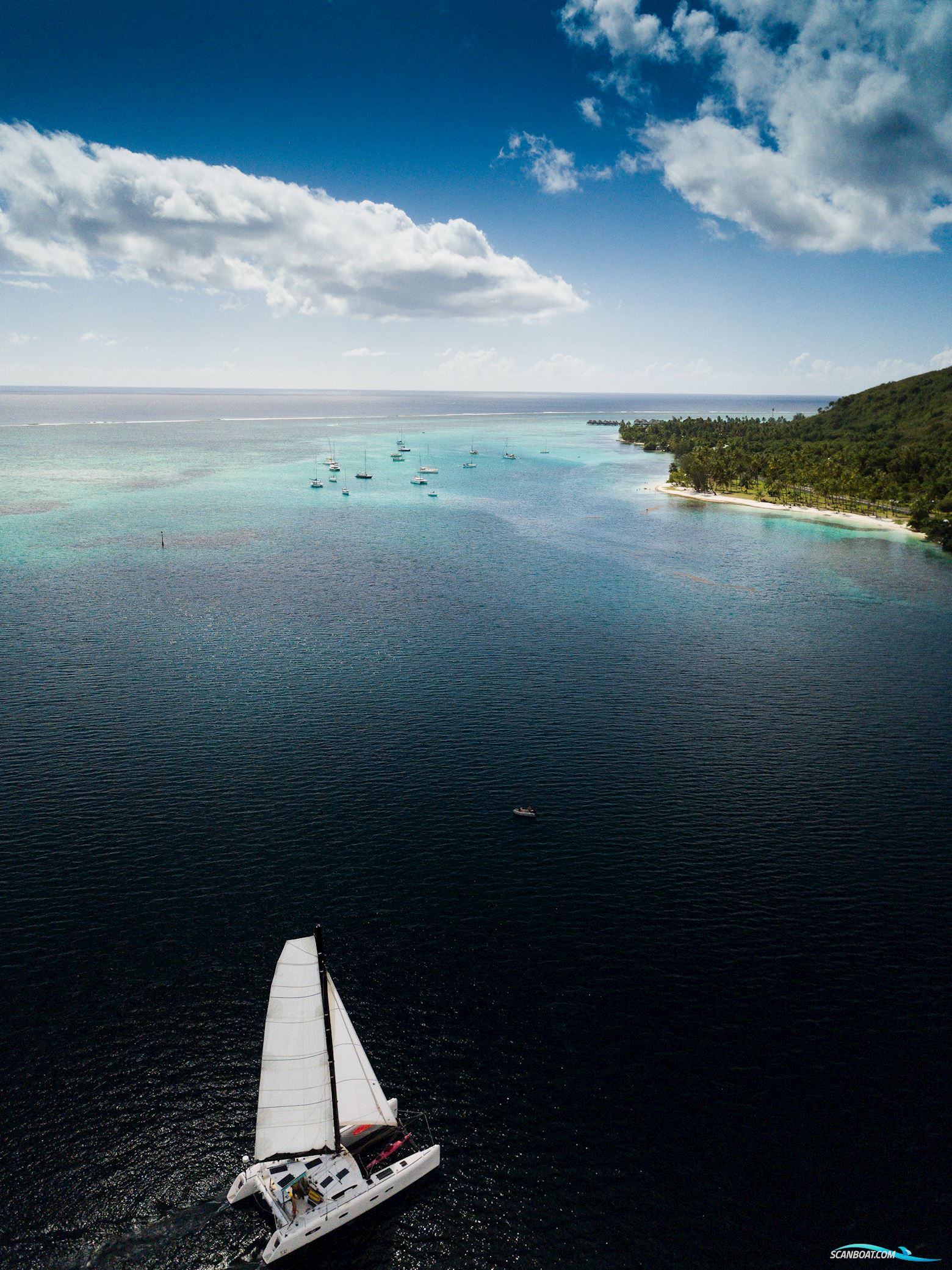 Barreau/Marsaudon TS 50