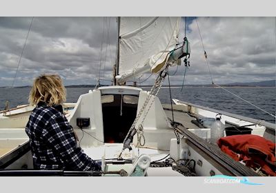 Cabinsib 32 Trimaran Flerskrogsbåd 2017, med Mercury motor, Portugal