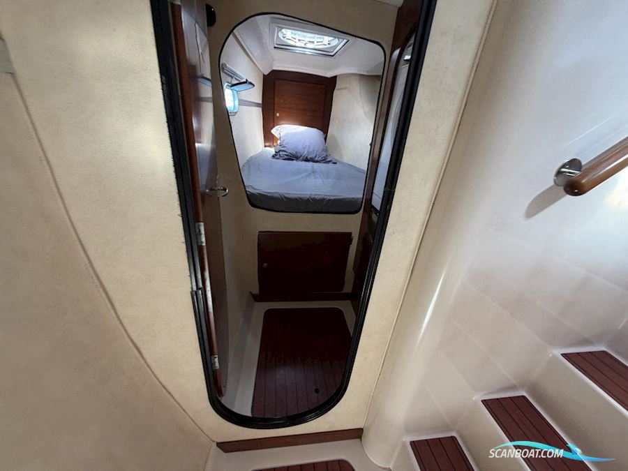 Fountaine Pakot Lavezii 40