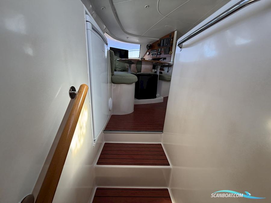 Fountaine Pakot Lavezii 40