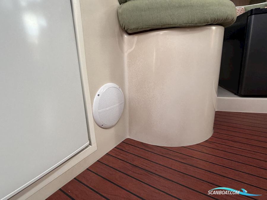 Fountaine Pakot Lavezii 40