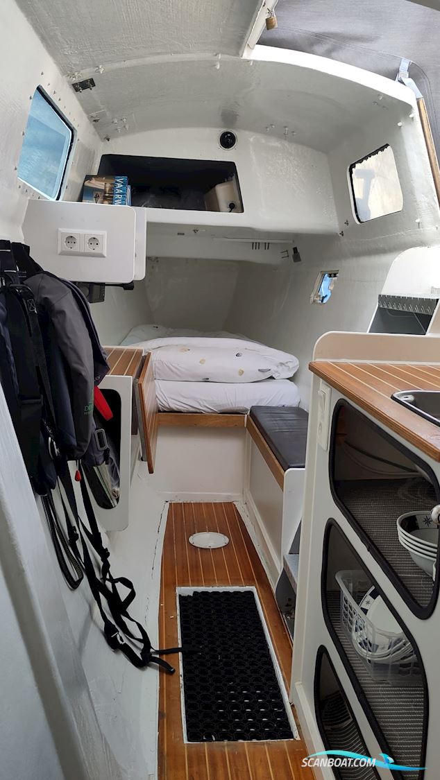 Havkat 31 Catamaran