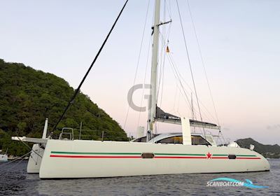 Ice Yachts Ice Cat 61 Flerskrogsbåd 2017, med Volvo Penta D2 - 75 motor, Caribien