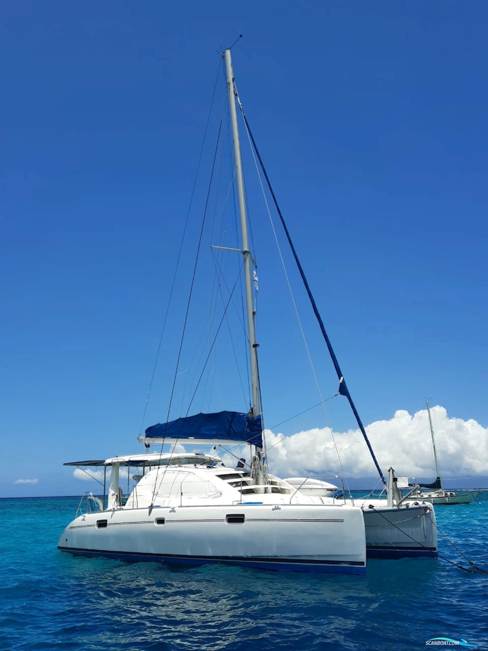 Leopard 40