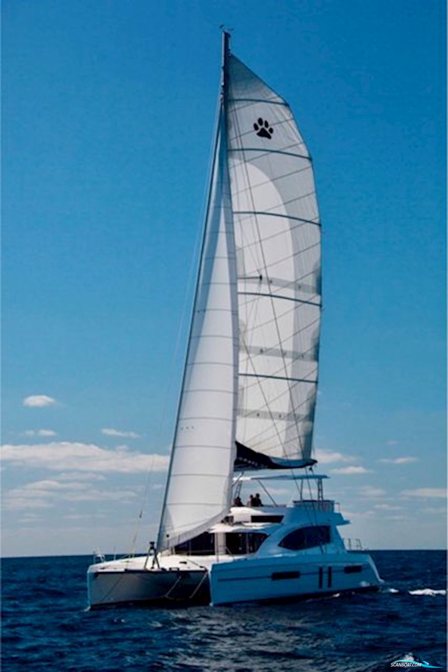 Leopard 58