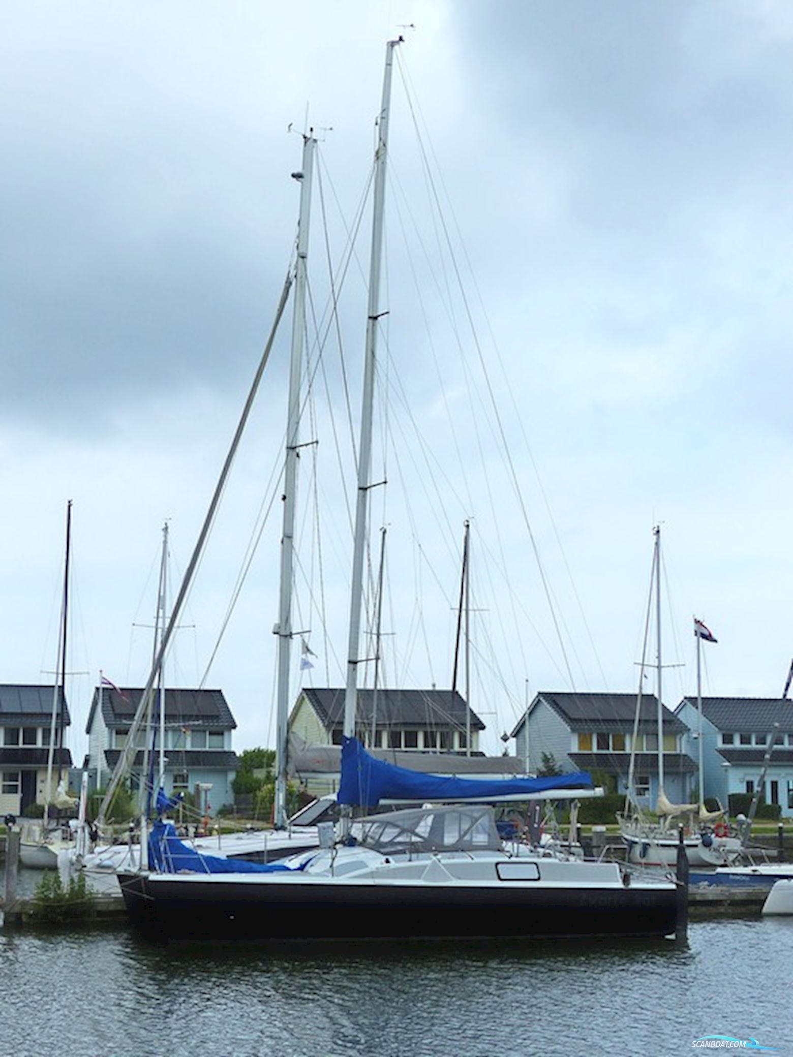 Rhebergen Havkat 31
