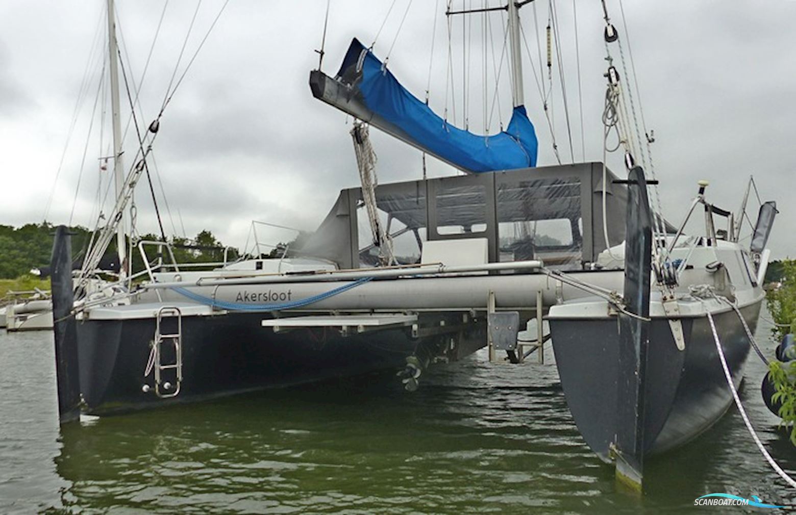 Rhebergen Havkat 31