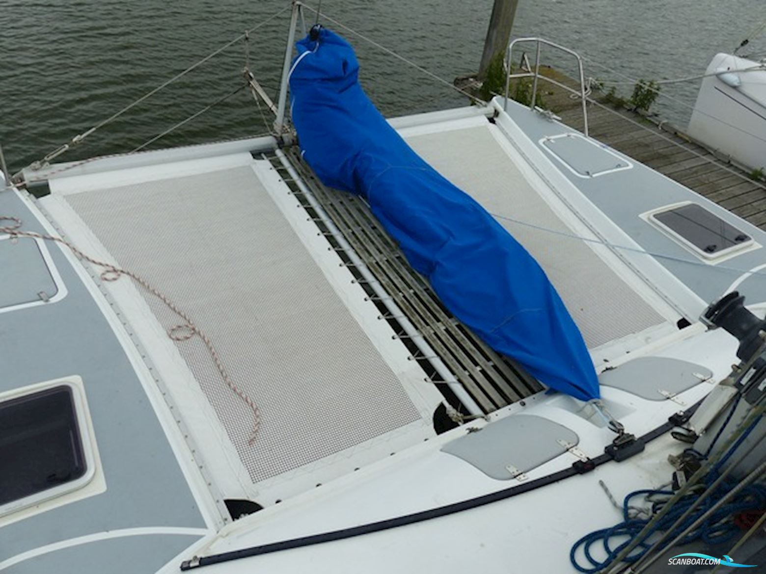 Rhebergen Havkat 31