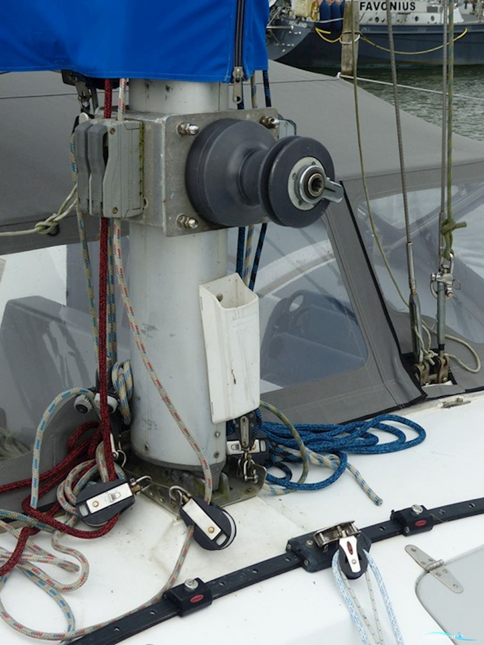 Rhebergen Havkat 31