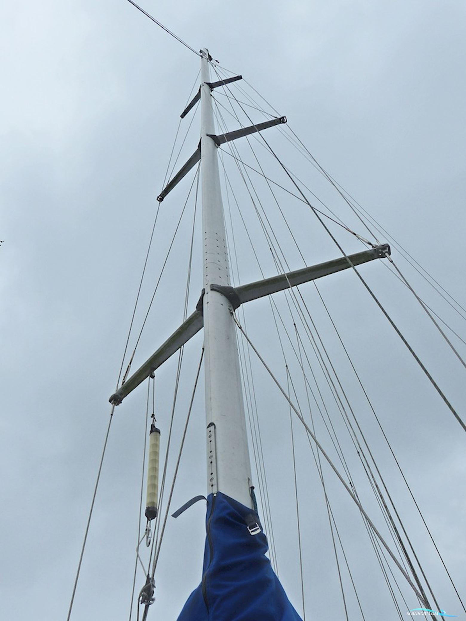 Rhebergen Havkat 31