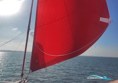 Trimeran Neel 43 Flerskrogsbåd 2022, med Volvo Penta motor, Kroatien