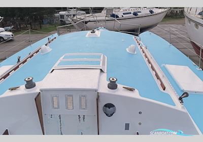 Triune 30 Classic Trimaran Flerskrogsbåd 1966, med Yamaha FT8Del motor, Holland