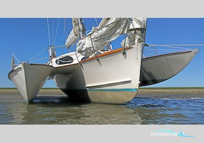 Triune 30 Classic Trimaran Flerskrogsbåd 1966, med Yamaha FT8Del motor, Holland