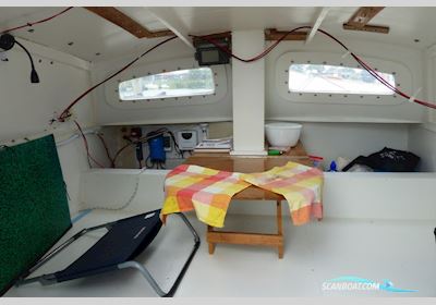 Woods Wizard Catamaran Flerskrogsbåd 1999, med Yamaha motor, Holland