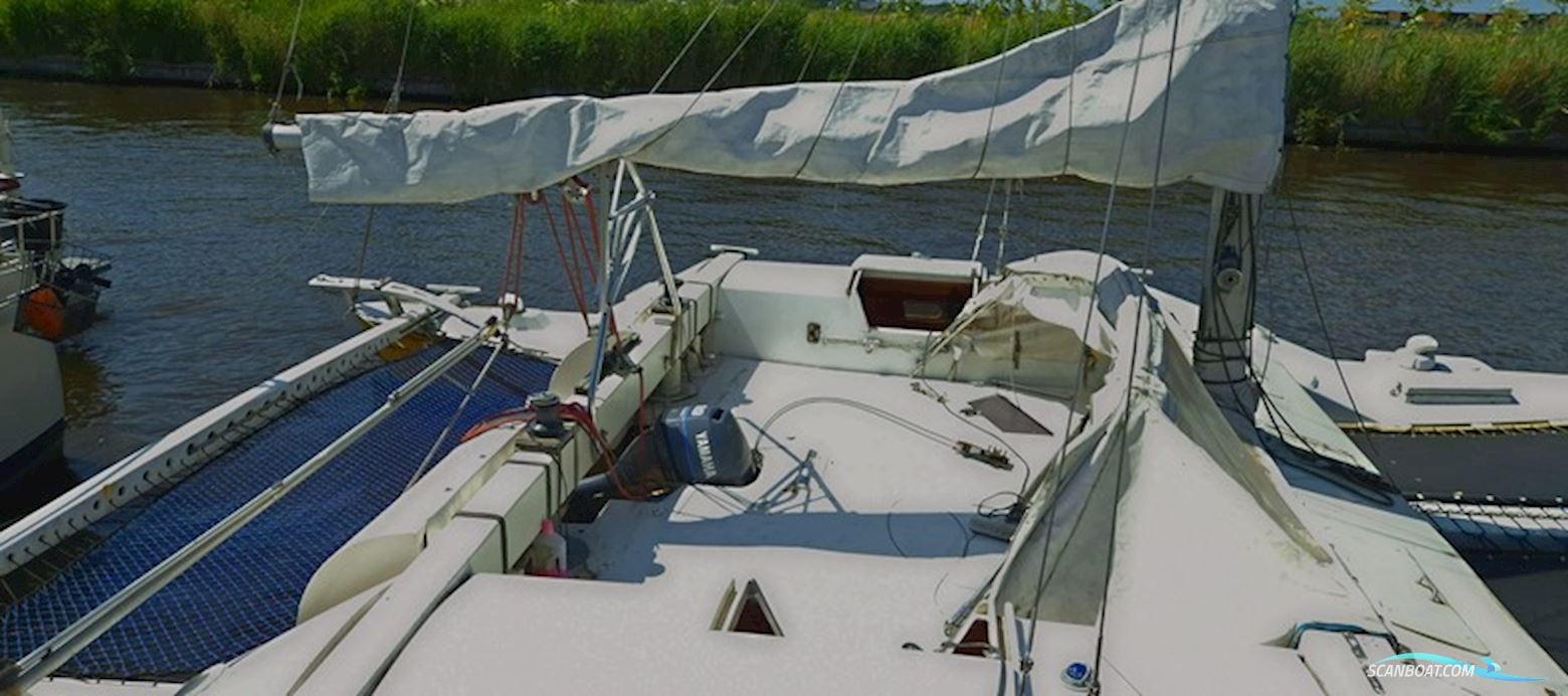 Amateur Wharram Tane Catamaran