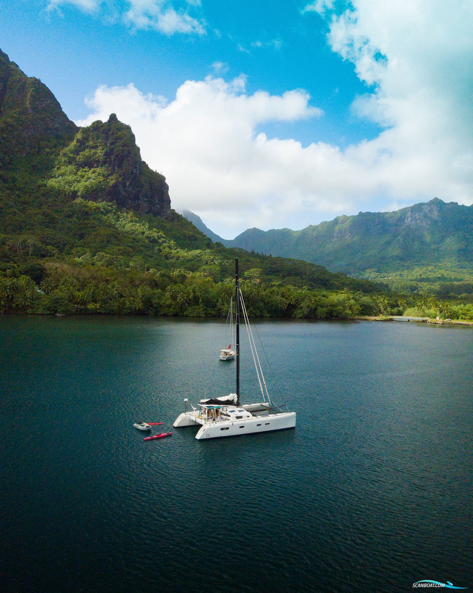 Barreau/Marsaudon TS 50