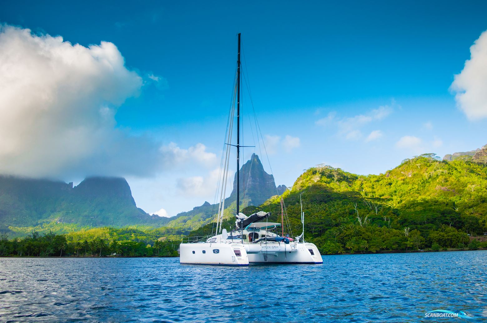 Barreau/Marsaudon TS 50