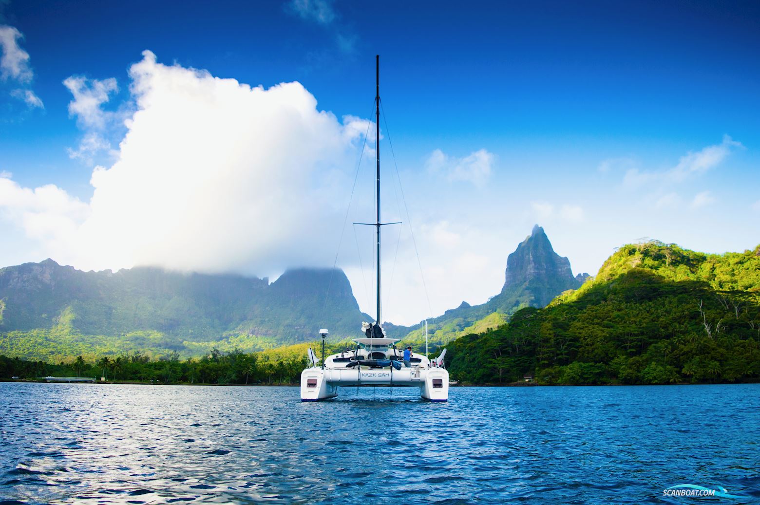 Barreau/Marsaudon TS 50