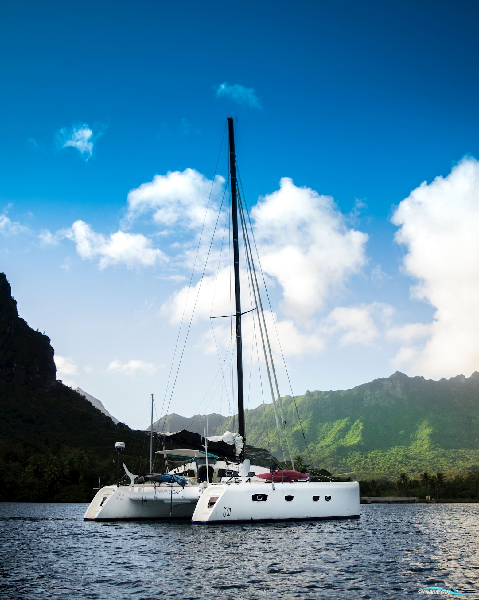 Barreau/Marsaudon TS 50