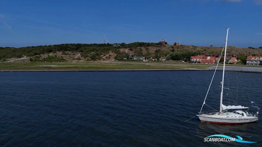 Excess 11 Pulse Line - Owner!