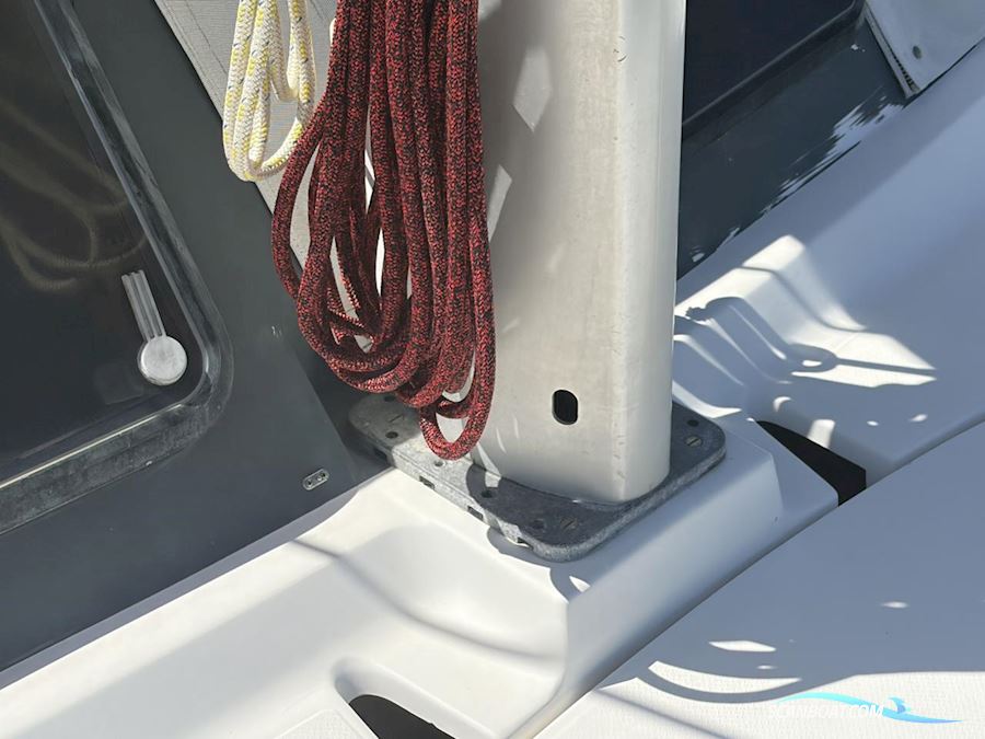 Fountaine Pakot Lavezii 40