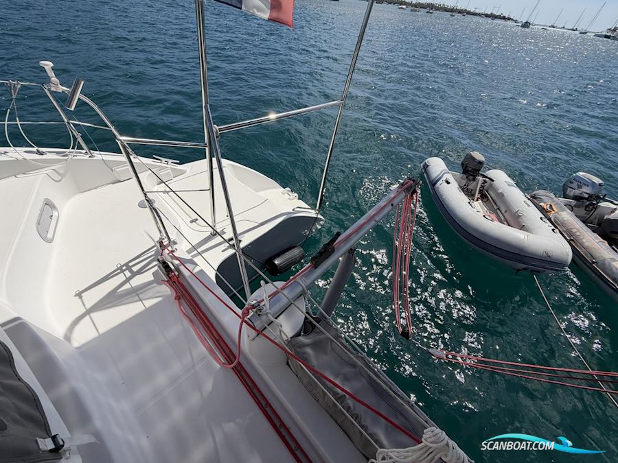 Fountaine Pakot Lavezii 40
