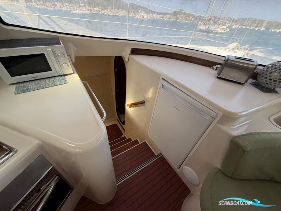 Fountaine Pakot Lavezii 40