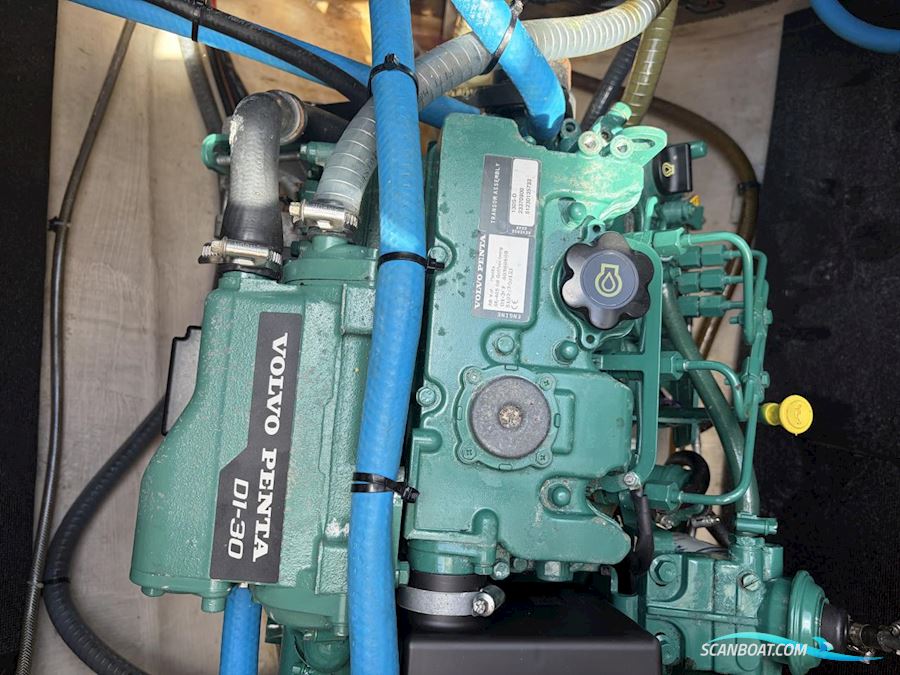 Fountaine Pakot Lavezii 40