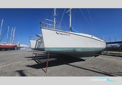 JEANTOT MARINE Privilege 14.70 Flerskrovsbåt 1988, med VOLVO motor, Frankrike