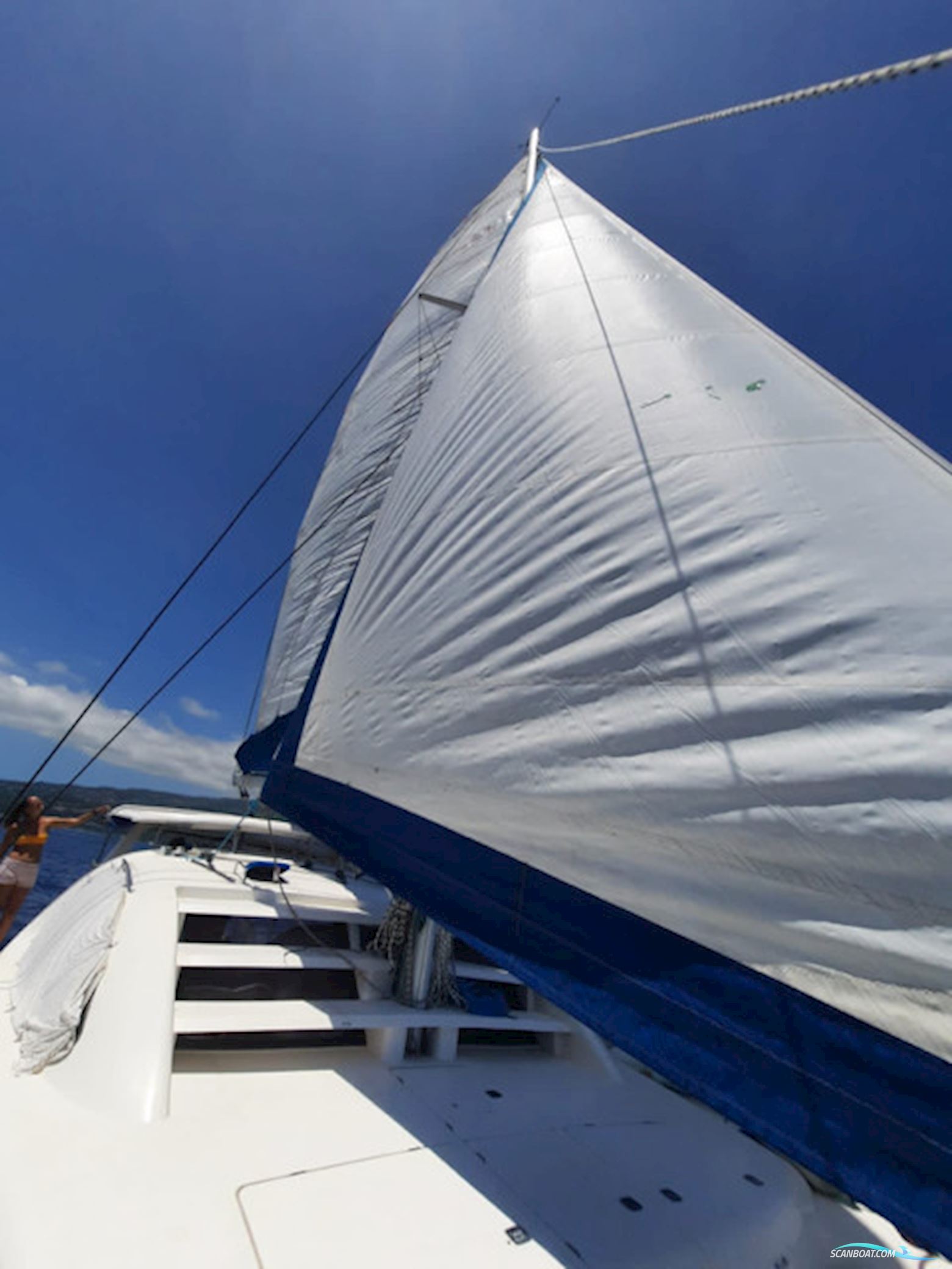 Leopard 40