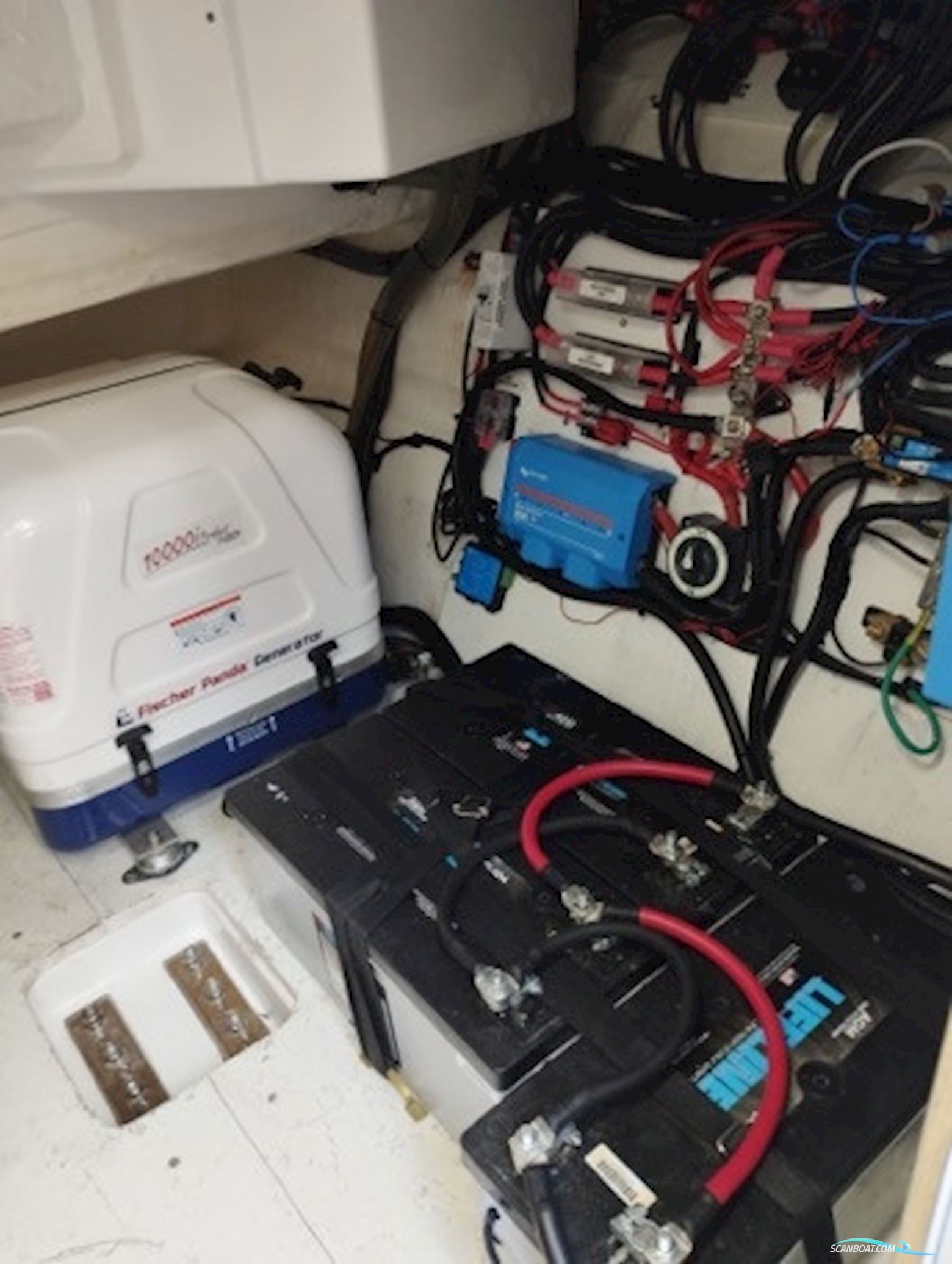 Leopard 53