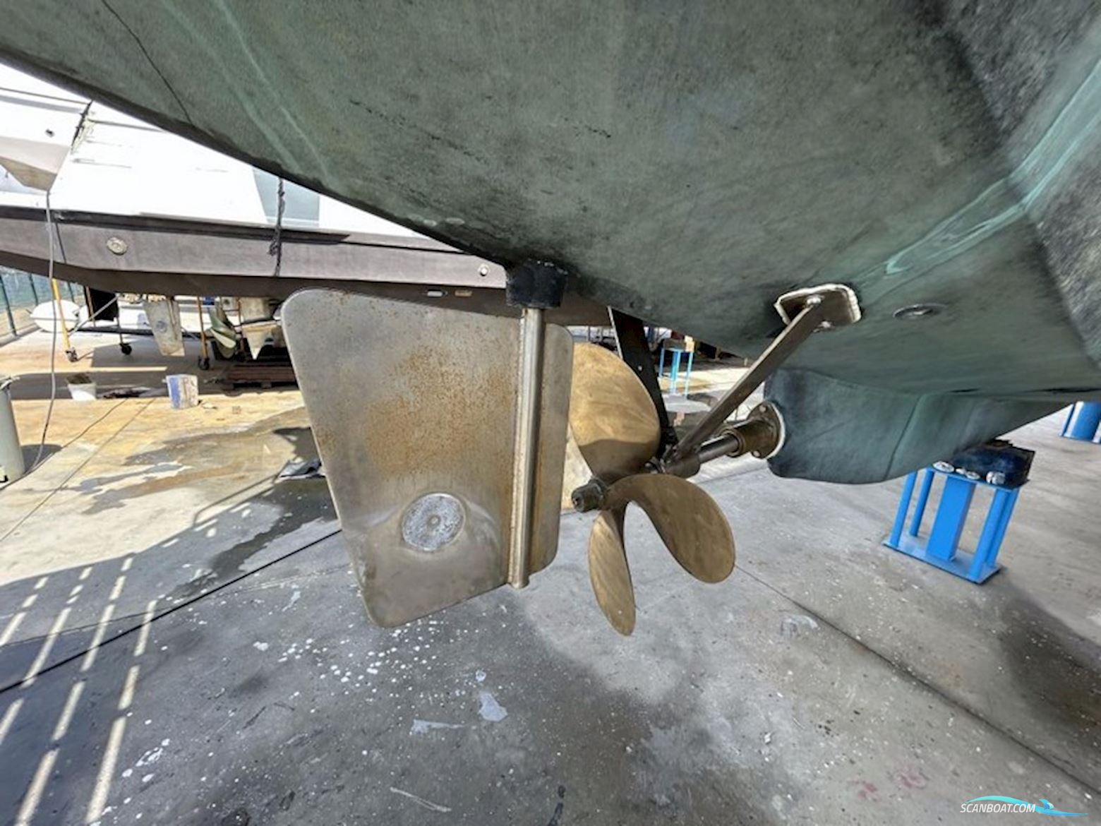 Professional Catamaran