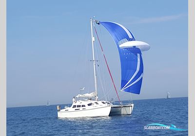 Woods Flica 35 Flerskrovsbåt 1988, med Yanmar motor, Tyskland