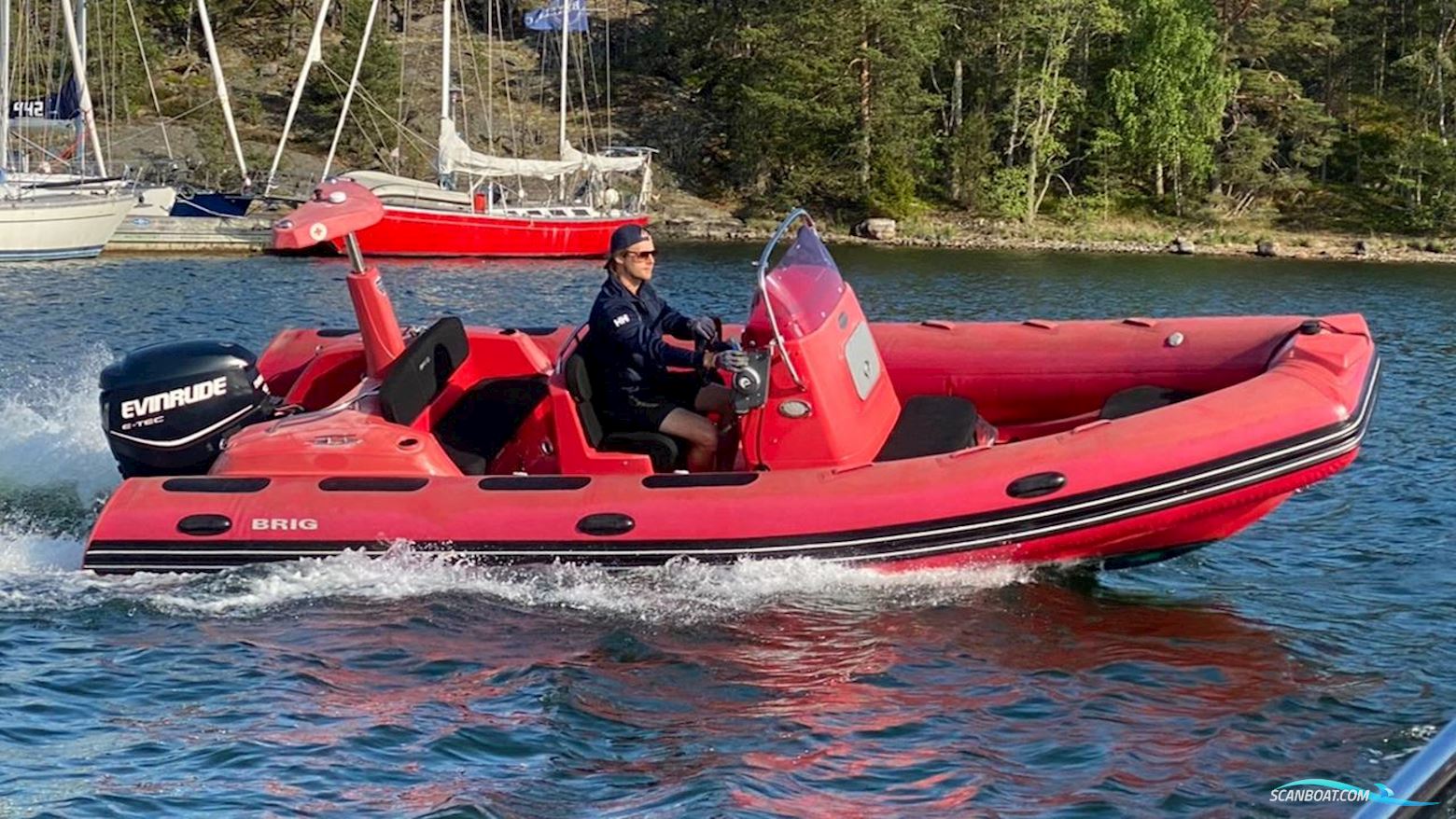 Brig Eagle 580 Gummibåd / Rib 2012, med Evinrude motor, Sverige