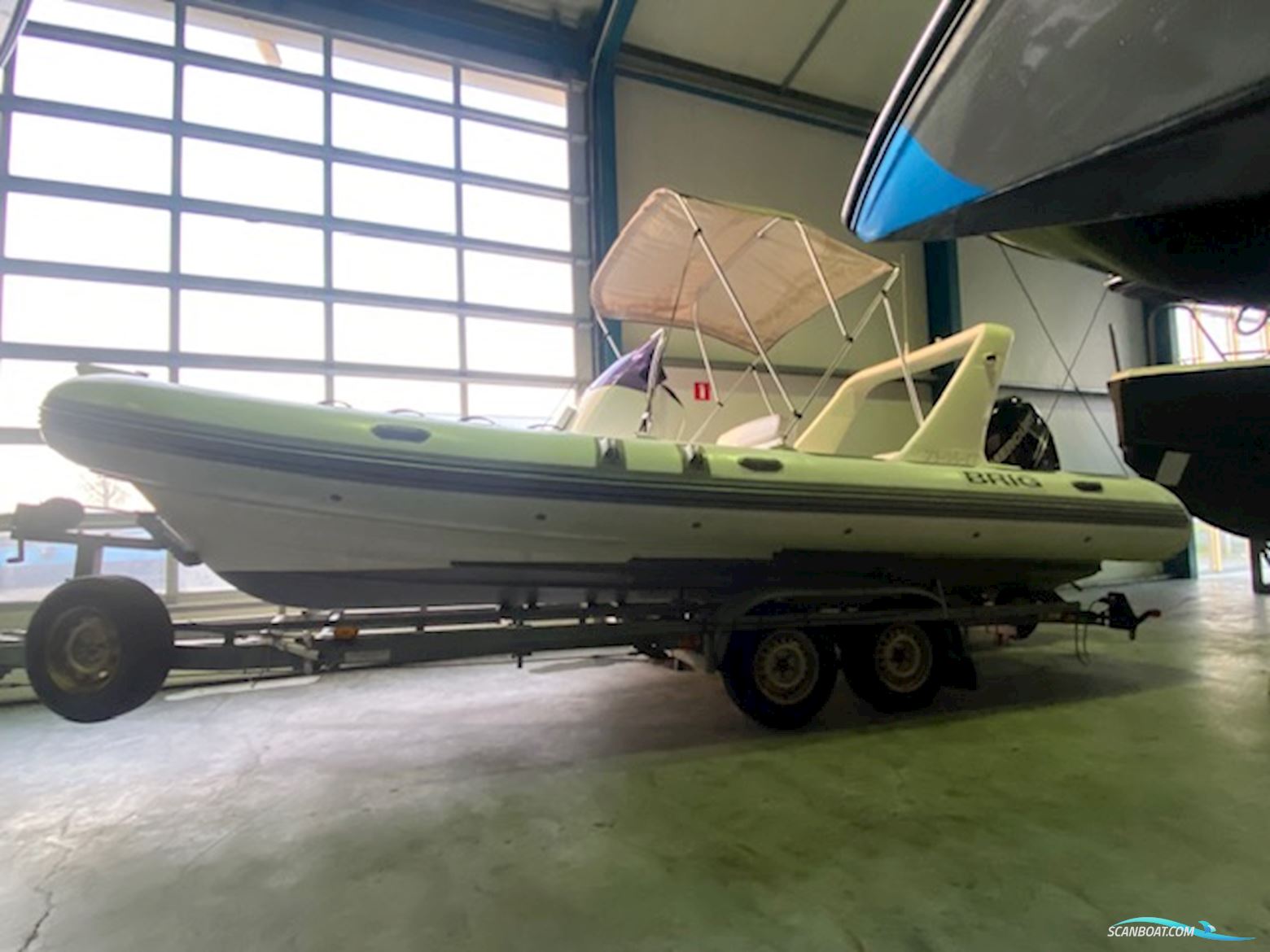 BRIG Eagle 650