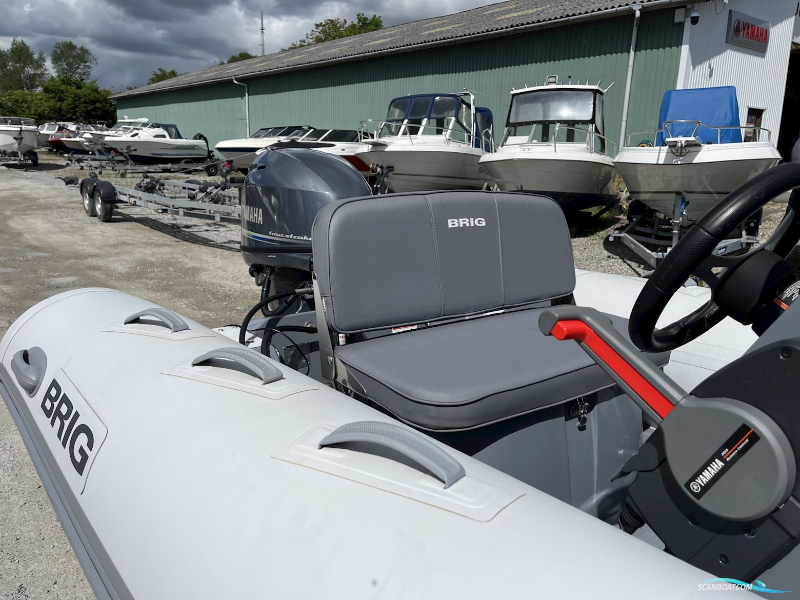 Brig F420T Falcon Tender