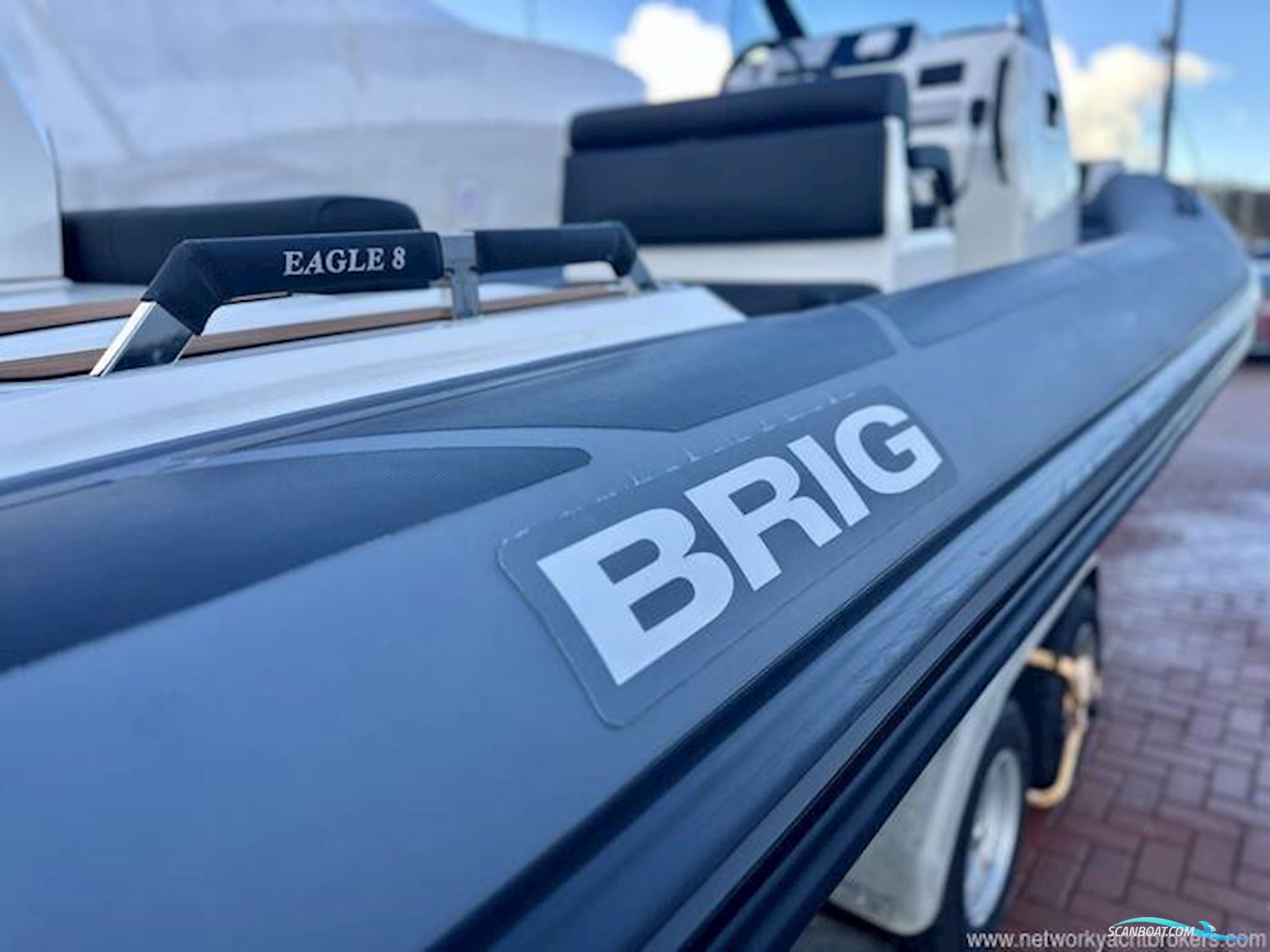 Brig Ribs Eagle 8