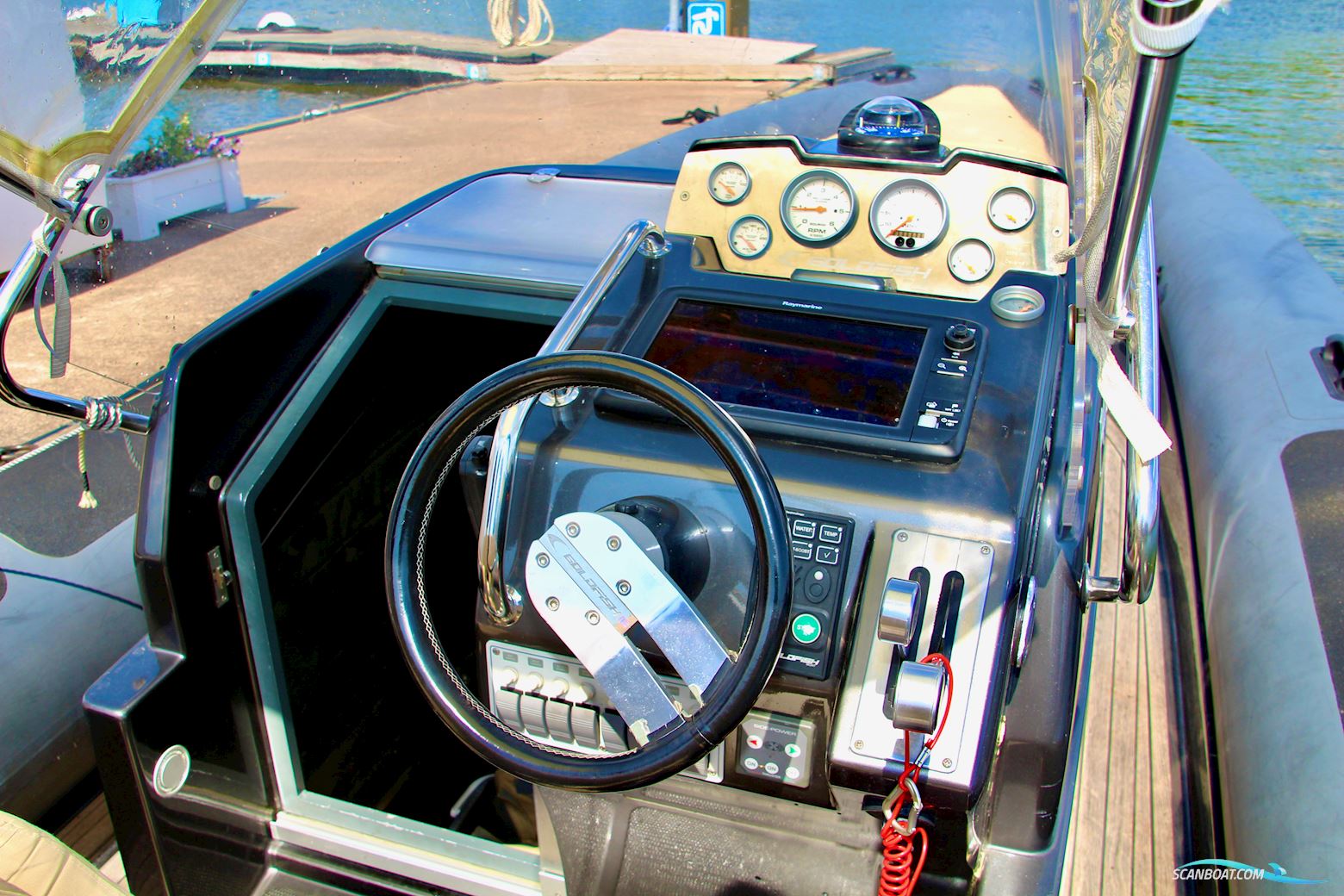 Goldfish 29 Rib Tender