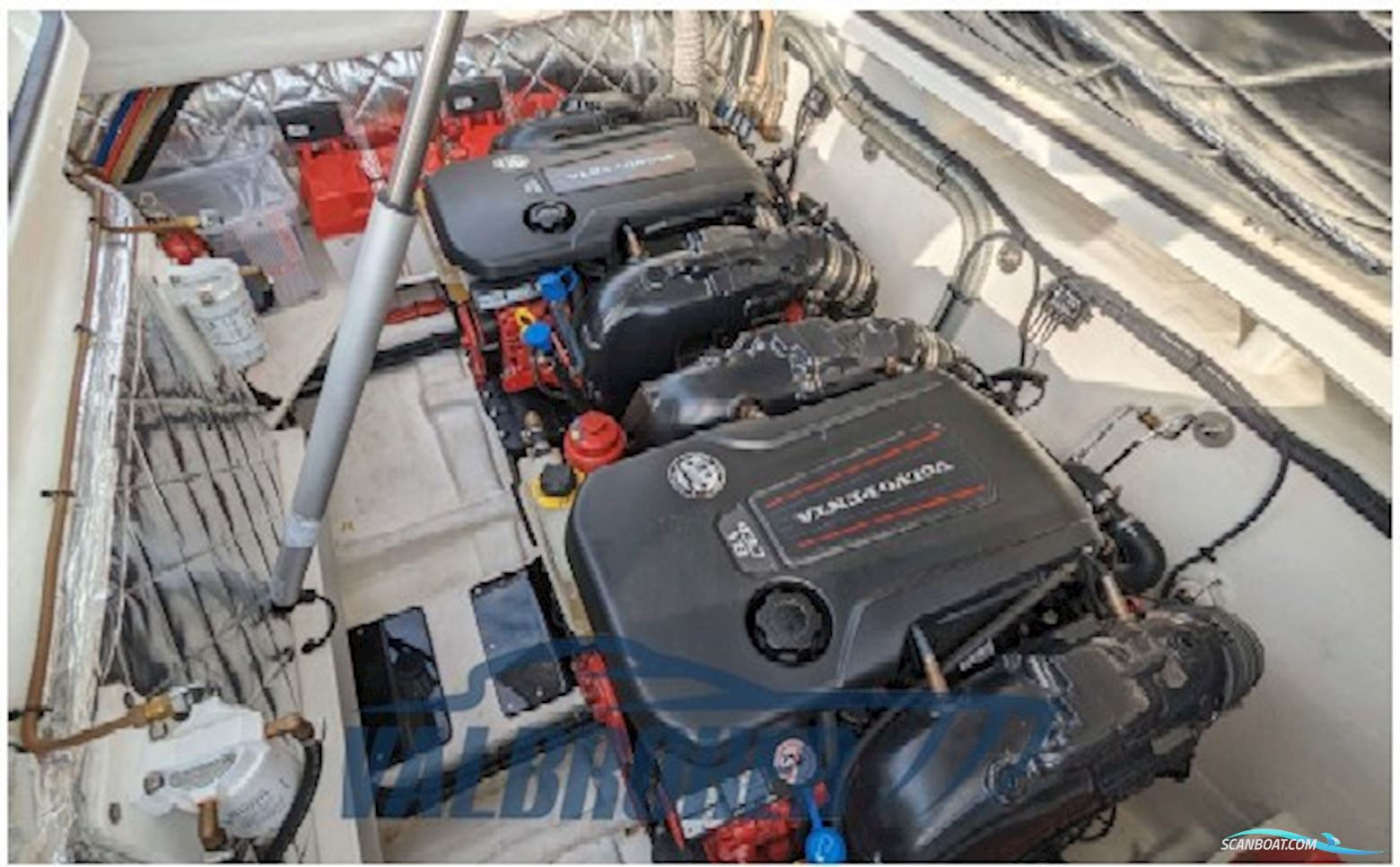 Sacs Strider 11 Sundeck