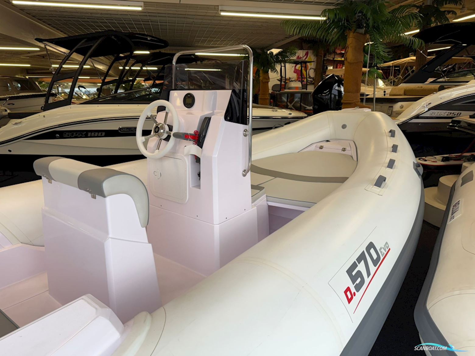 Selva D.570