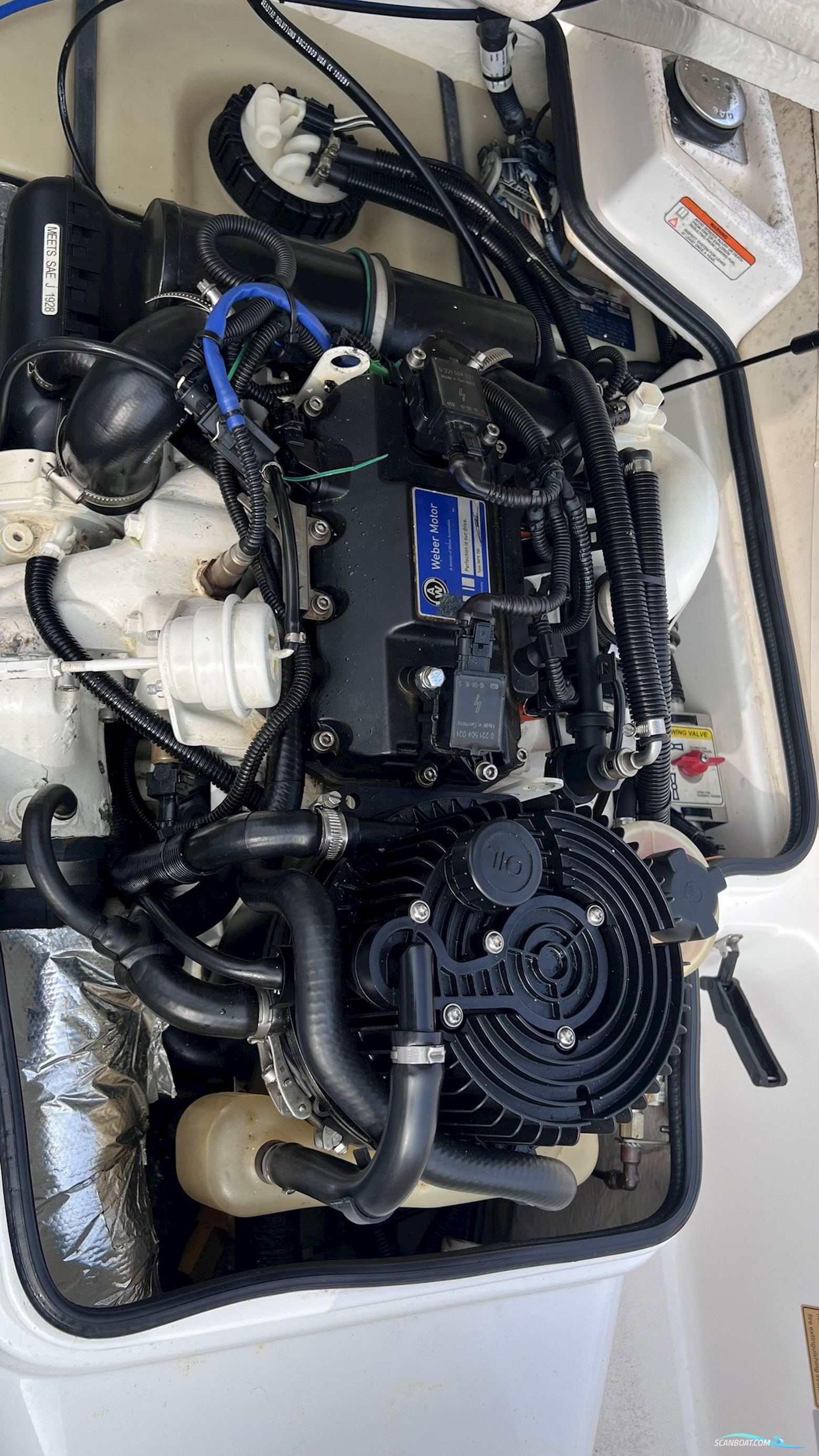 Williams 325 Turbo Jet - BJ. 2012