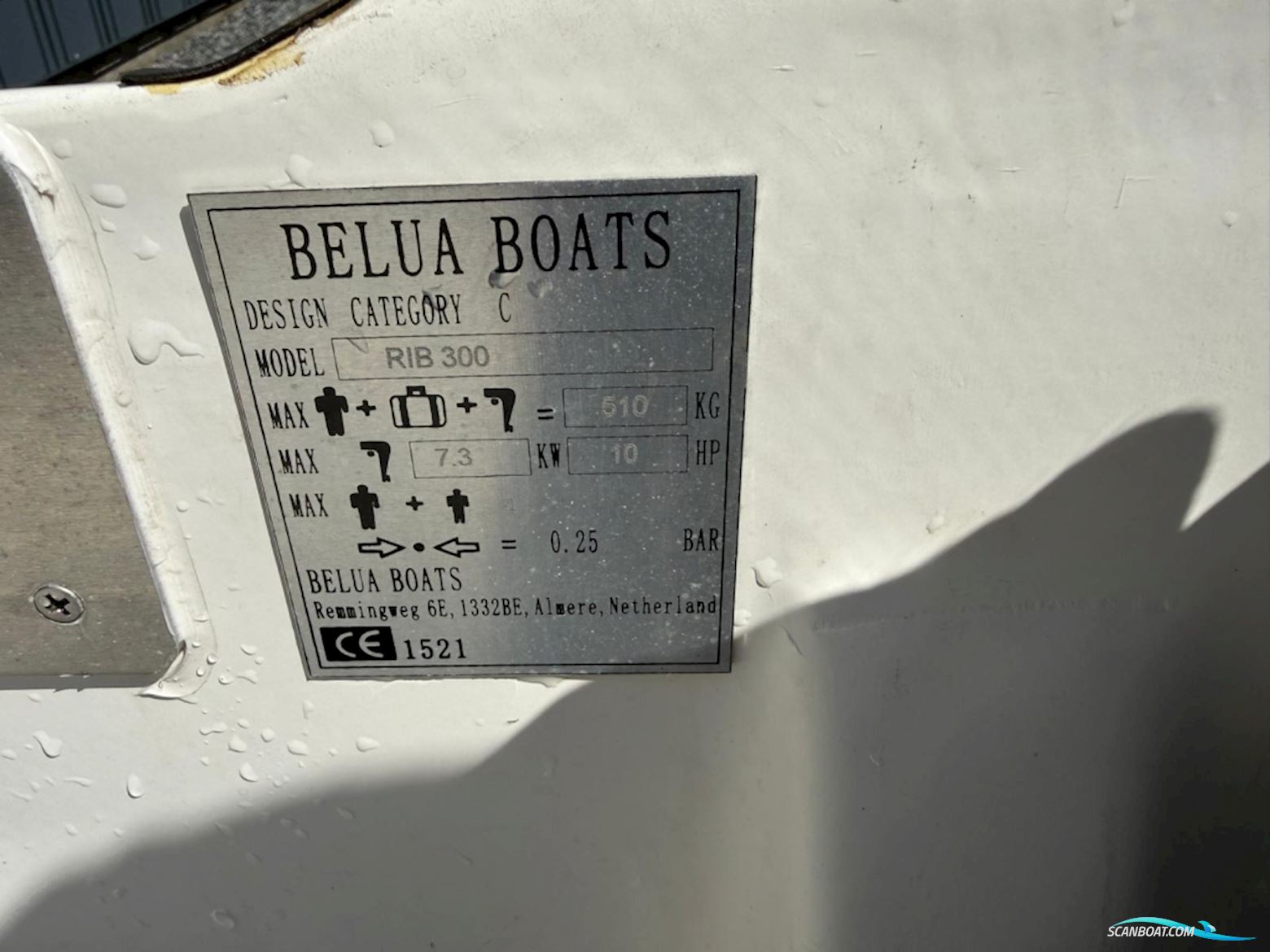 Belua Rib 300