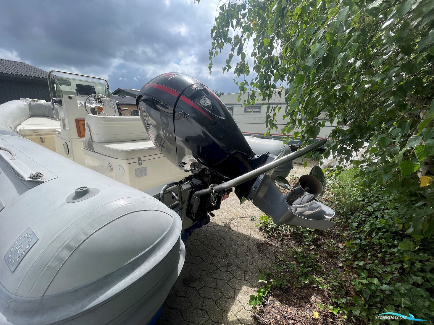Clubman 21