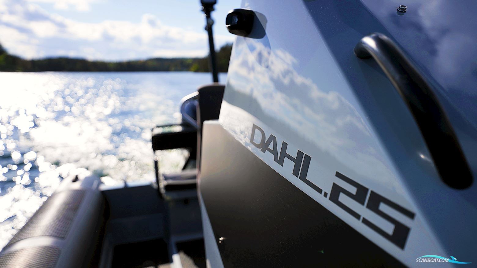 Dahl 25