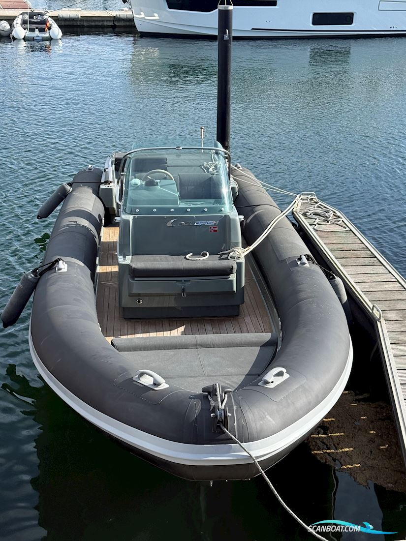 Goldfish 29 Sport