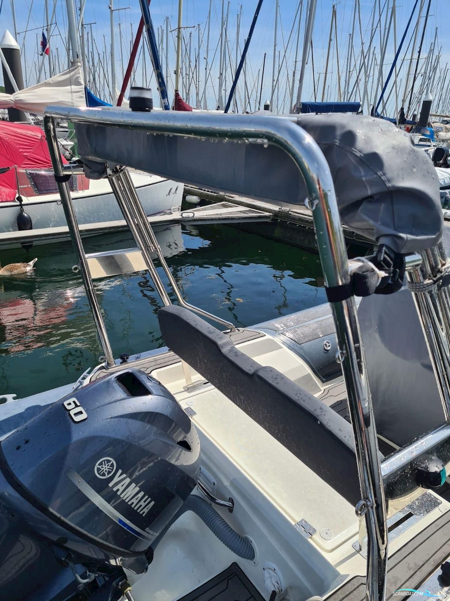 Pischel Ribline GTO 4.8